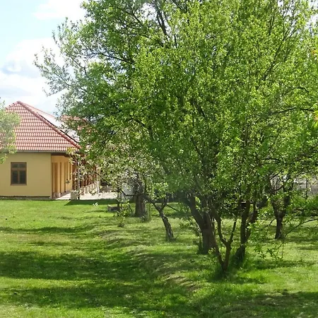 公寓 Borostyan Vendeghaz Alsoregmec