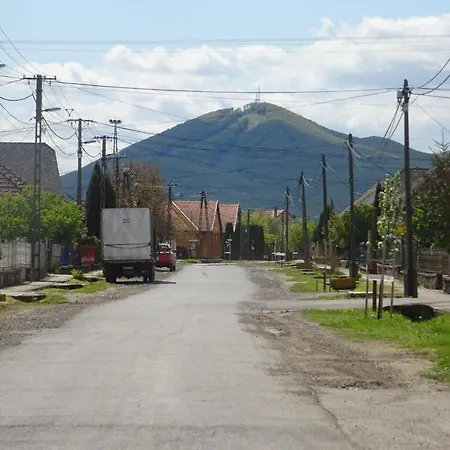 Borostyan Vendeghaz 公寓 *