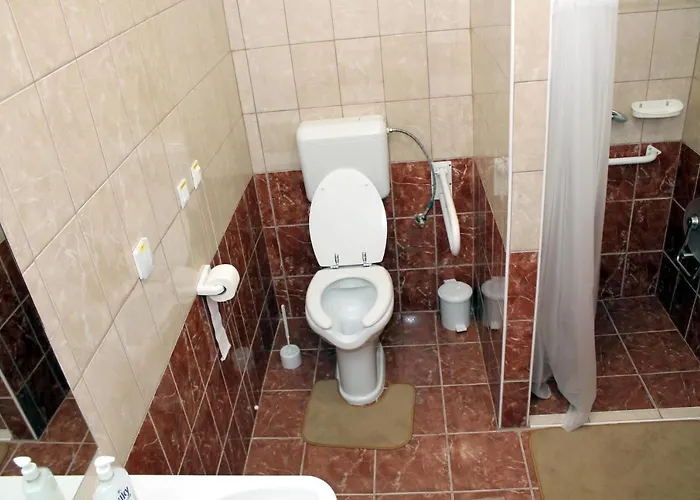 Borostyan Vendeghaz *